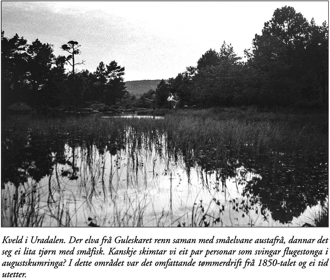 Floraminne 2005 Page 68